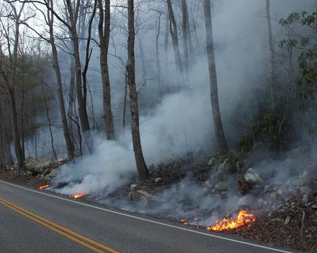Virginia Department of Forestry Warns of Increased Fire Danger
